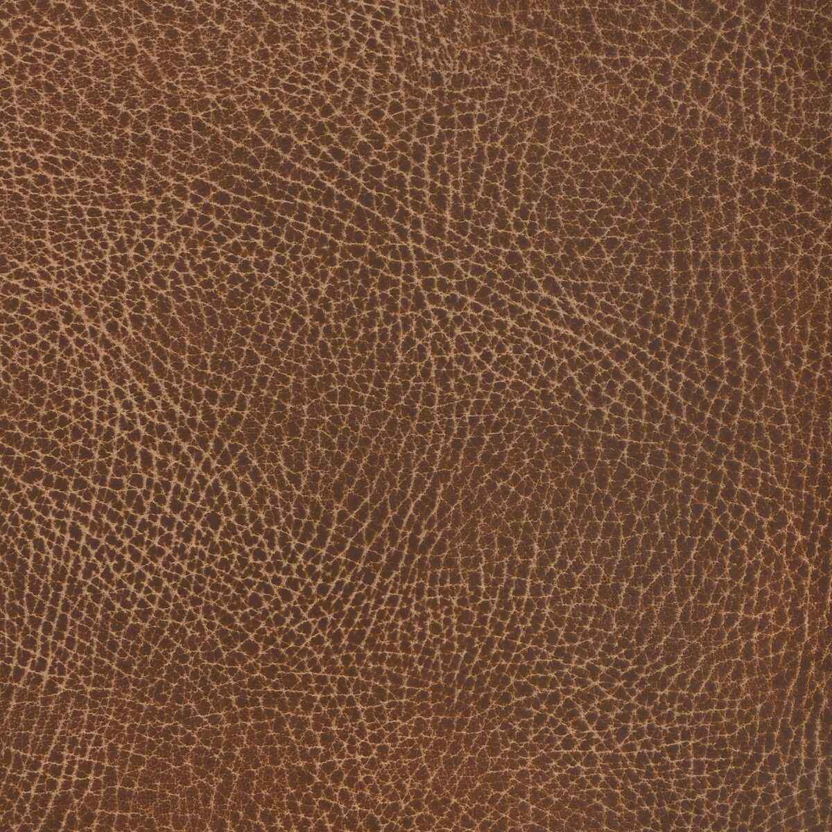 Nash-6-Kravet-Design-Fabric