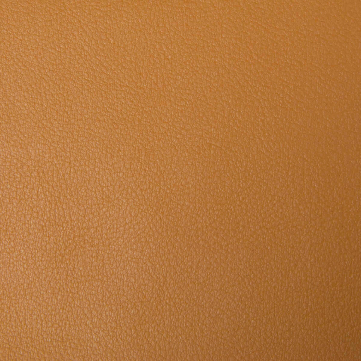 Kravet Smart - Newt-4 - KRAVET SMART Fabric
