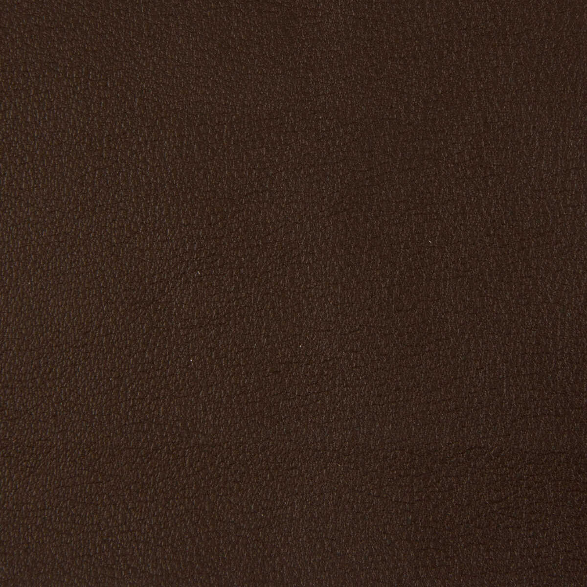 Kravet Contract - Berta-66 - KRAVET CONTRACT Fabric