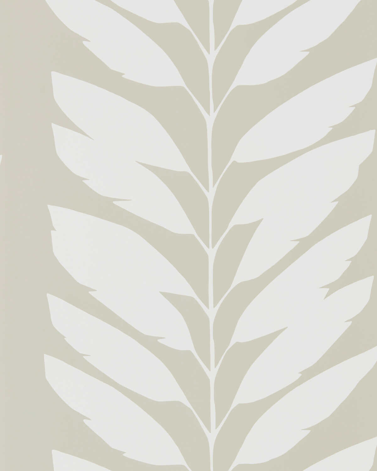 Malva - Parchment