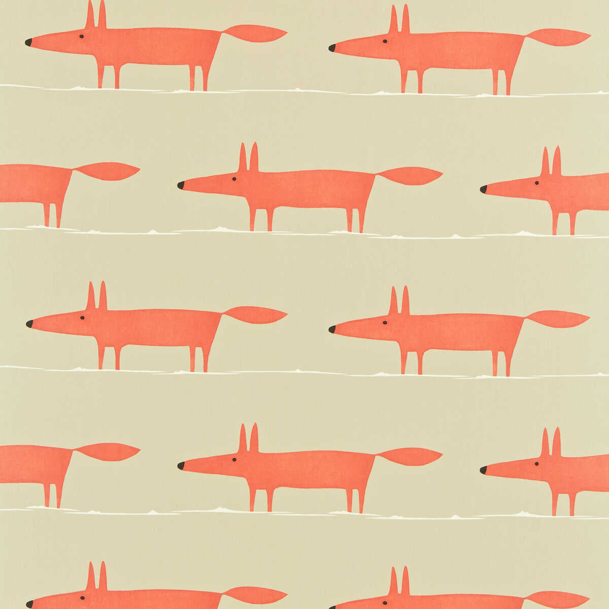 Mr Fox - 120071 - SCION Tela