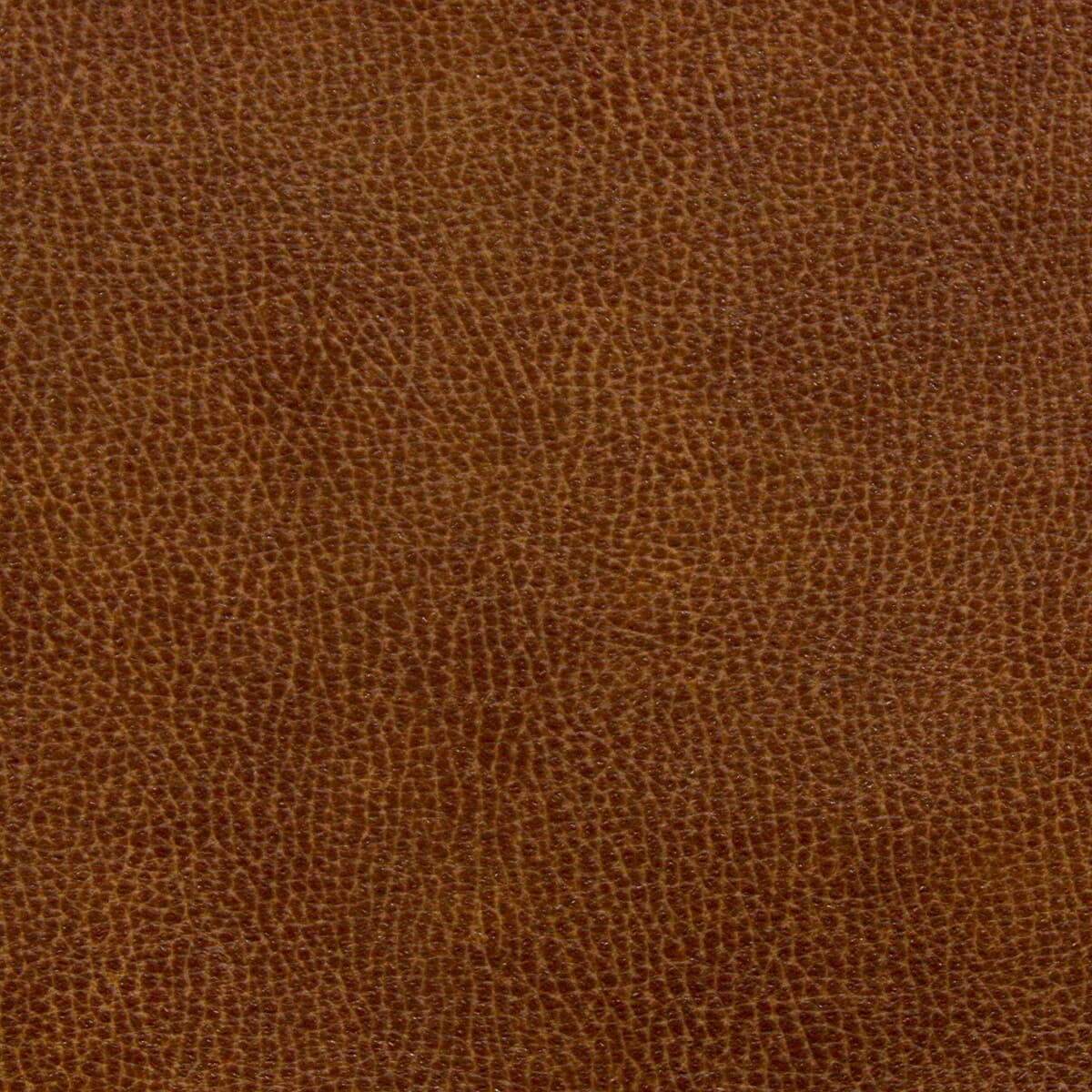 NOSEDA-5-SADDLE-STOUT-TEXTILES