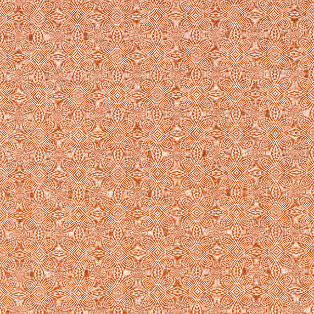 Kateri - Tangerine - SCION Tela