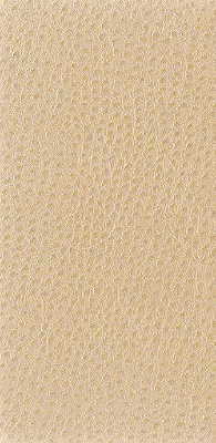 Nuostrich - Putty - KRAVET BASICS Tela