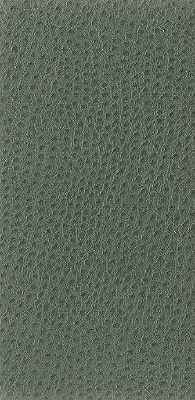 Nuostrich-3-Kravet-Basics-Fabric