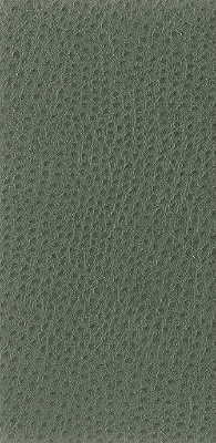 Kravet Basics - Nuostrich-3 - KRAVET BASICS Fabric