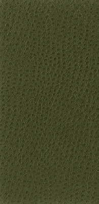Kravet Basics - Nuostrich-30 - KRAVET BASICS Fabric
