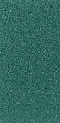 Nuostrich-35-Kravet-Basics-Fabric - KRAVET BASICS Fabric