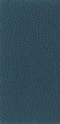 Kravet Basics - Nuostrich-5 - KRAVET BASICS Fabric