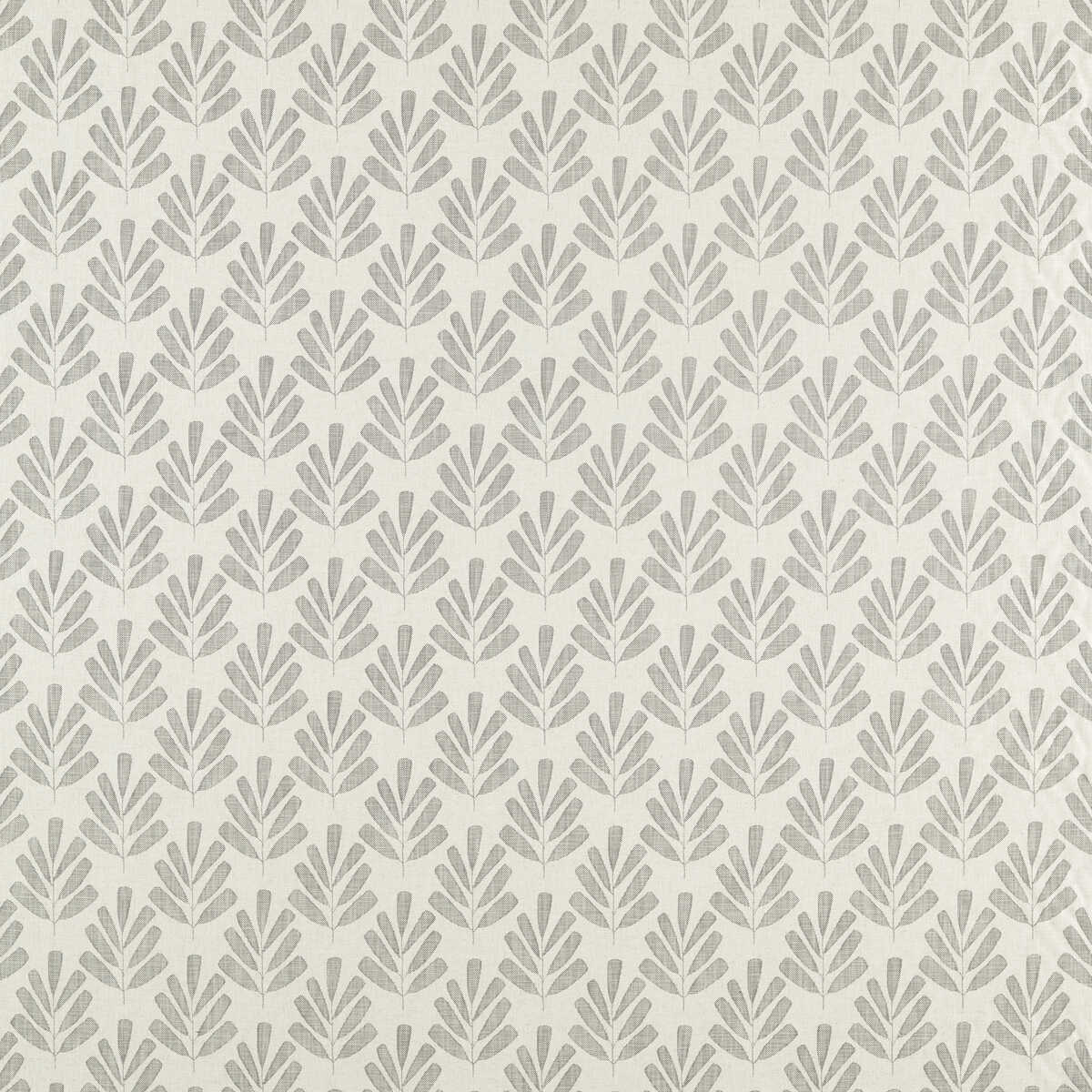 Poacea - Fossil - SCION Fabric