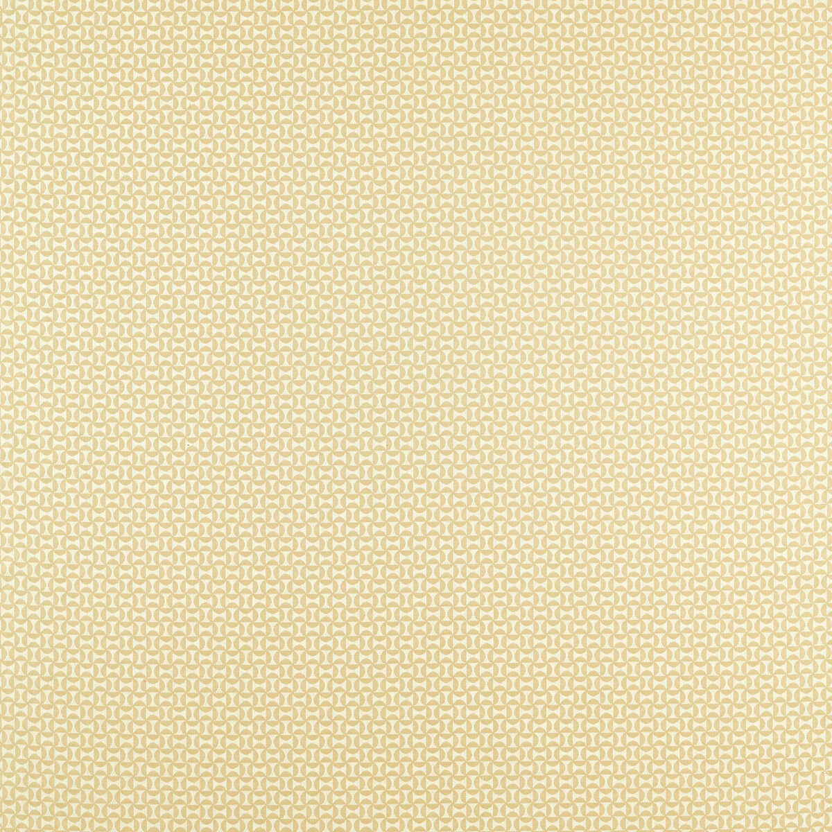 Forma - Raffia - SCION Fabric