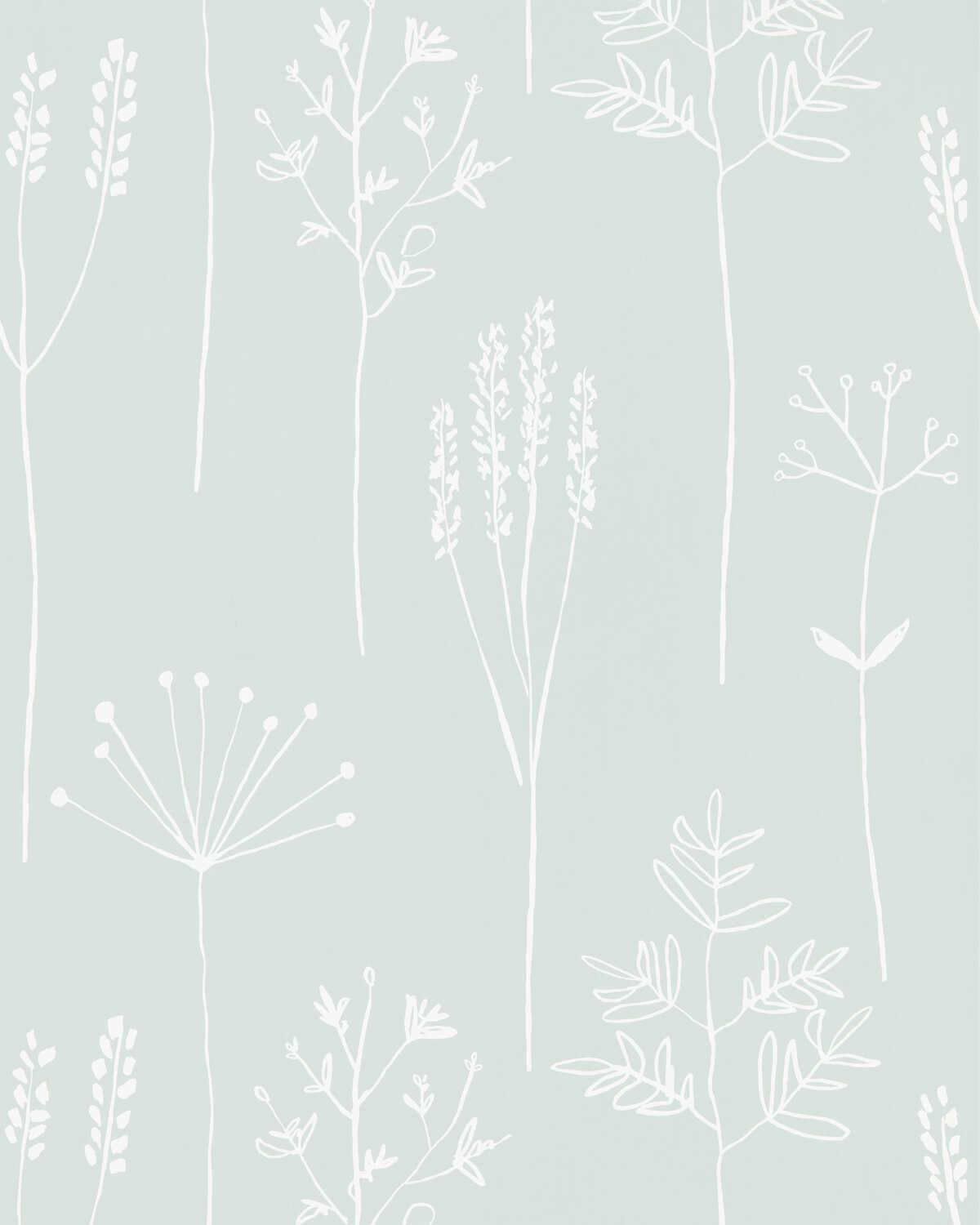 Stipa - Frost