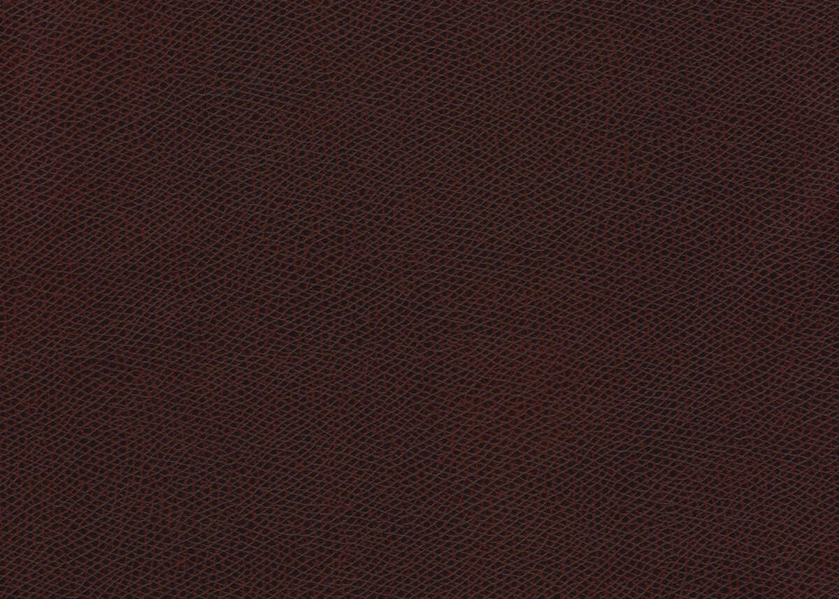 Ophidian - Raisin - KRAVET CONTRACT Fabric