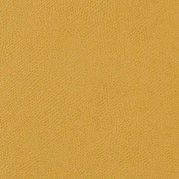 Ophidian - Lemon - KRAVET CONTRACT Fabric