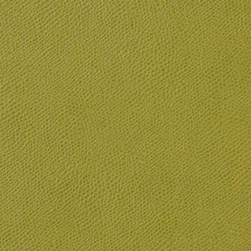 Ophidian - Lime