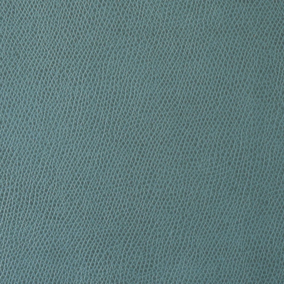 Ophidian - Patina