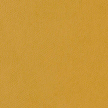 Ophidian - Sunflower - KRAVET CONTRACT Fabric