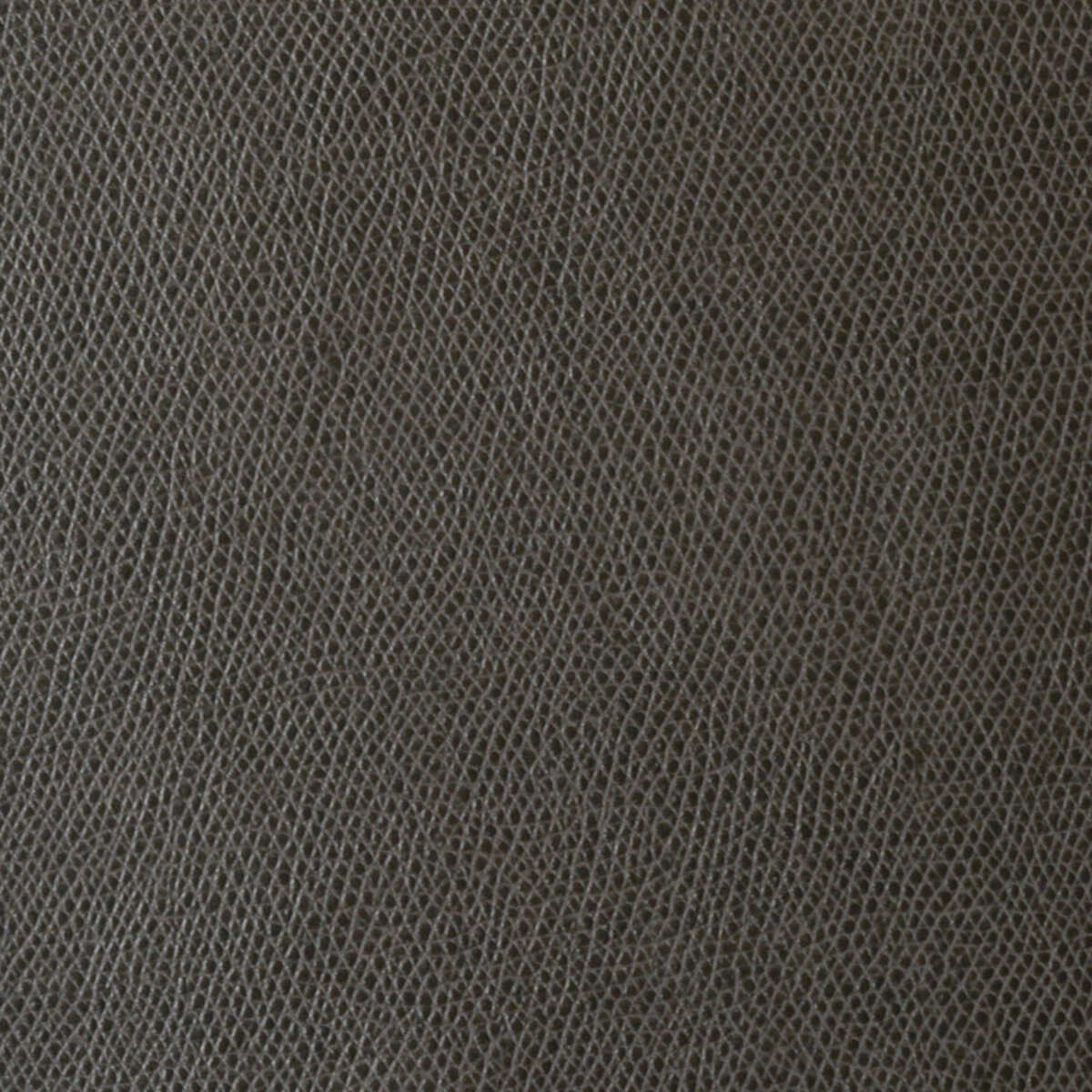Ophidian - Charcoal