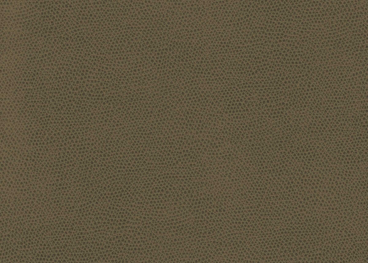 Ophidian - Bark - KRAVET CONTRACT Fabric