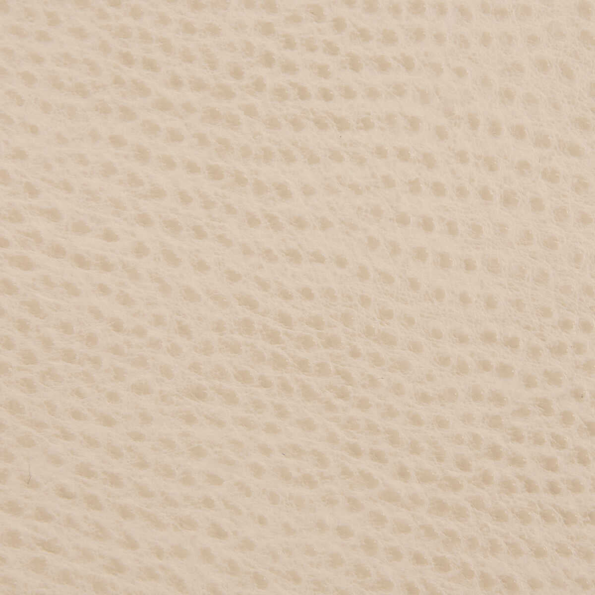 Kravet Contract - Belus-16