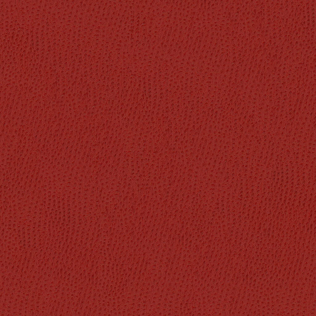 Kravet Contract - Belus-19