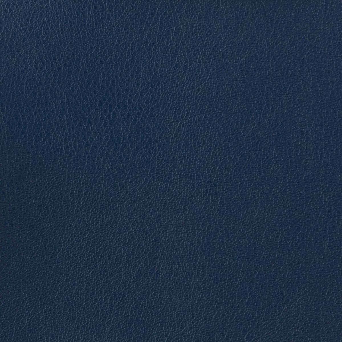 Kravet Basics - Otto-50 - KRAVET BASICS Fabric