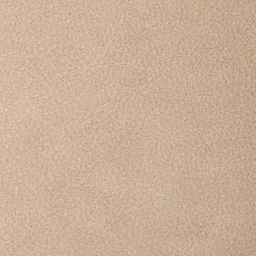 Overlook - Praline