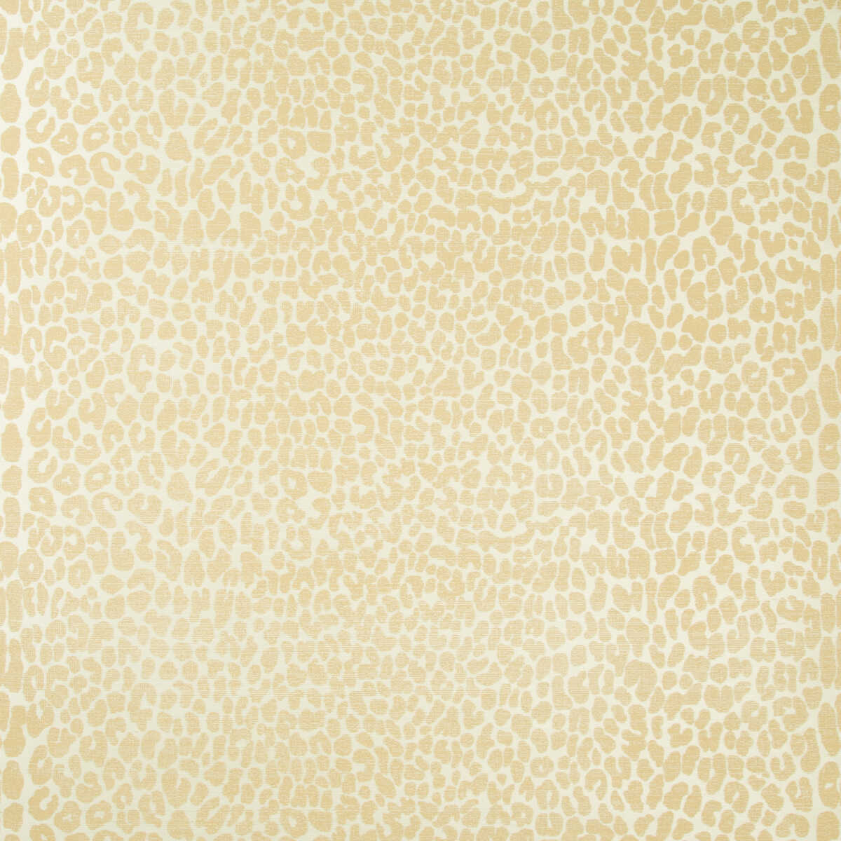 Ocicat Paper - Camel