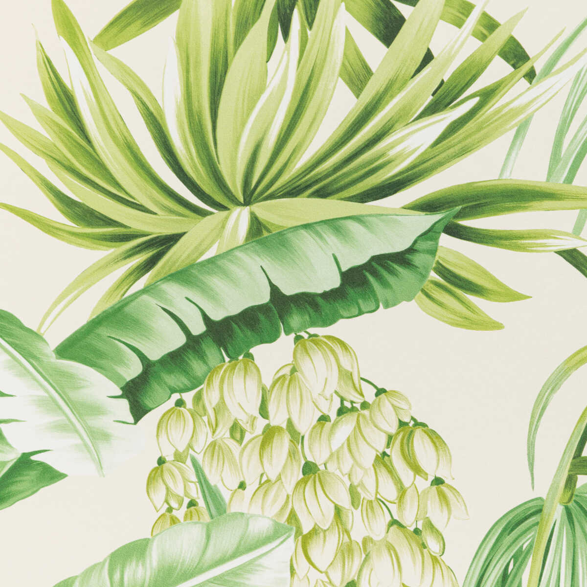 Caluya Paper - Palm - LEE JOFA Papel pintado
