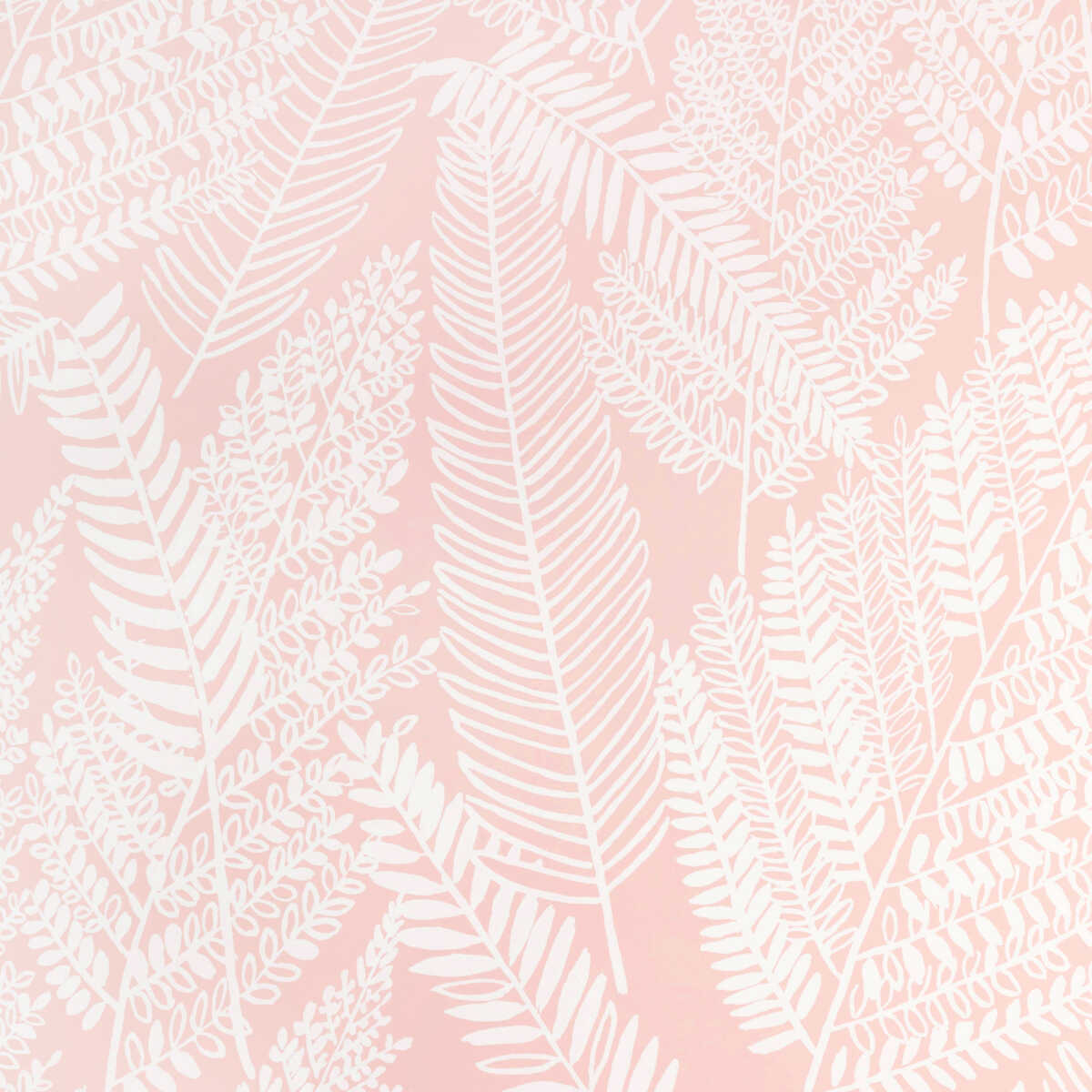 Carrick Paper - Petal