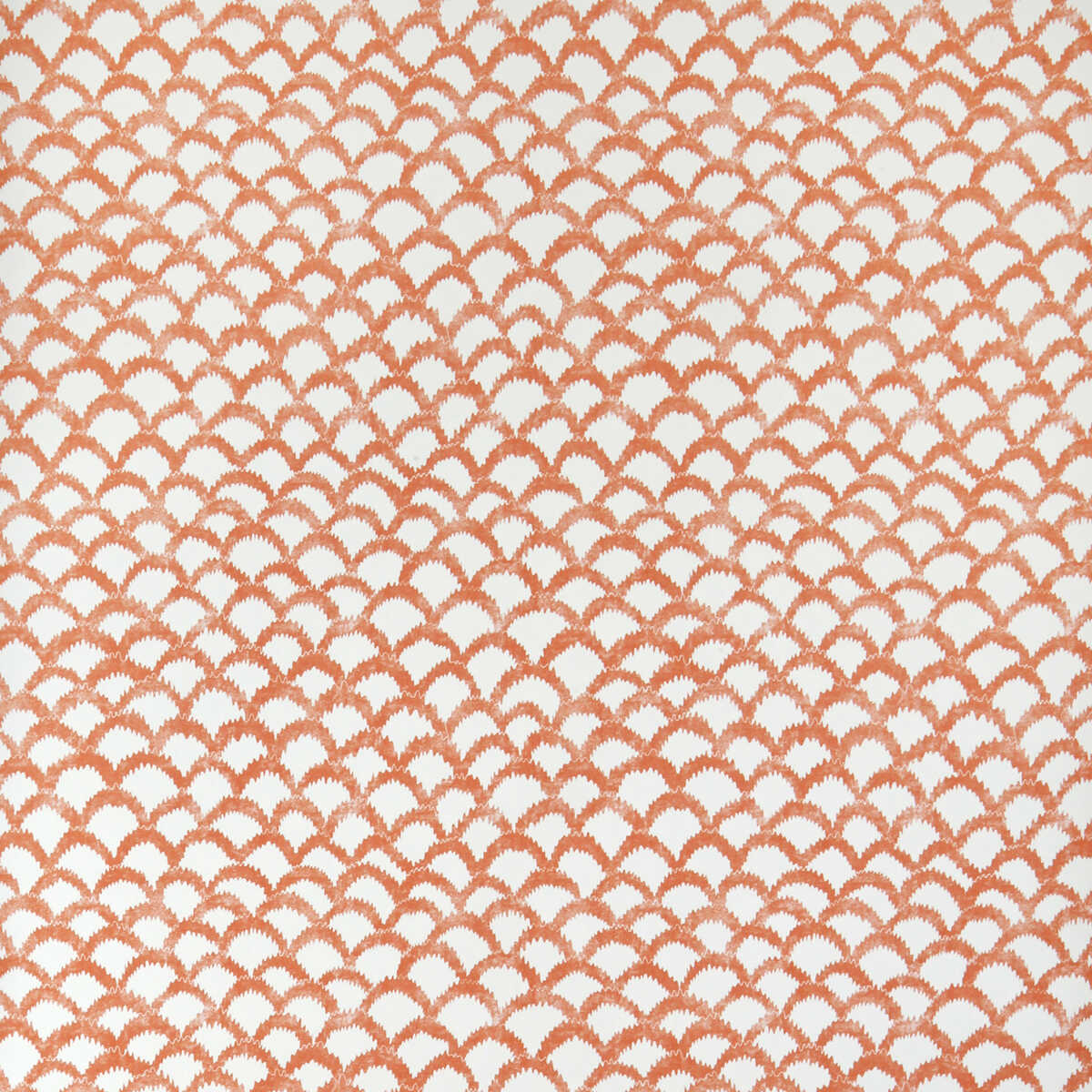 Roche Wp - Orange