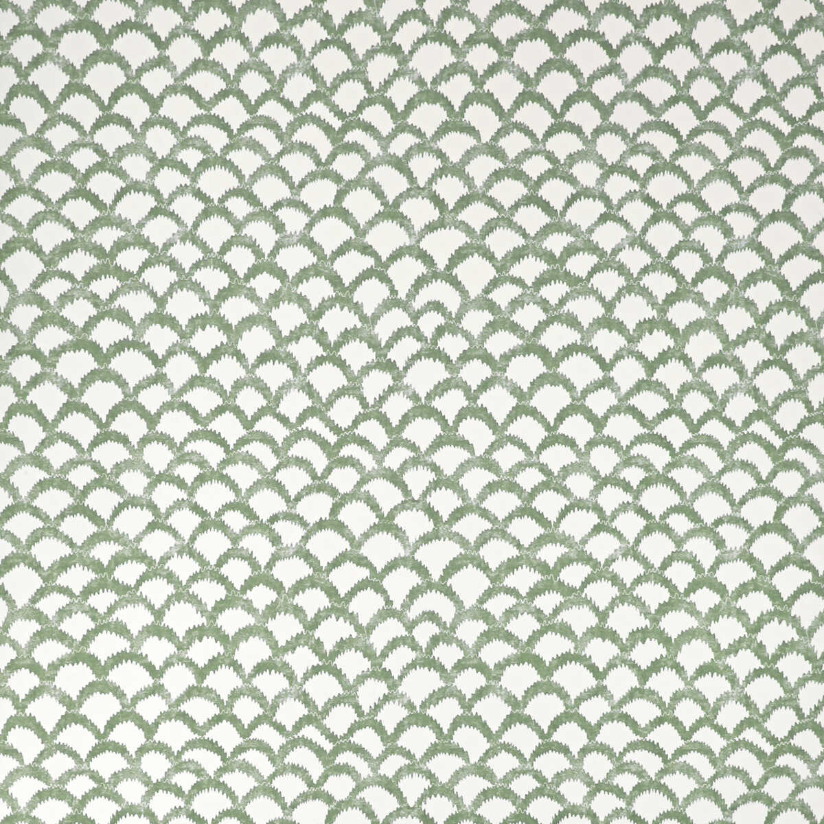 Roche Wp - Green
