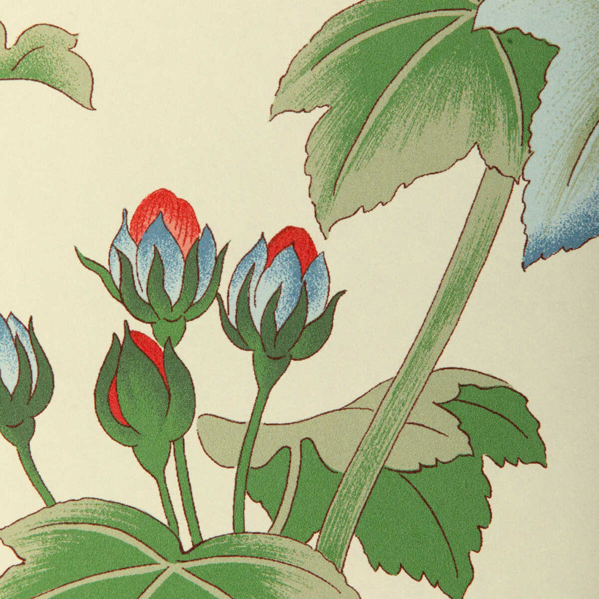 Gardenia Paper - Red/Green - LEE JOFA Wallpaper