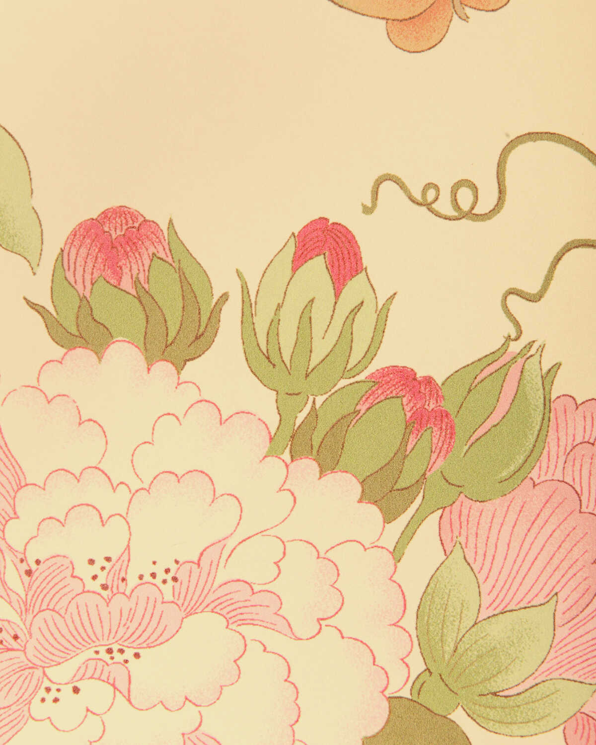 Gardenia Paper - Spring - LEE JOFA Papel pintado