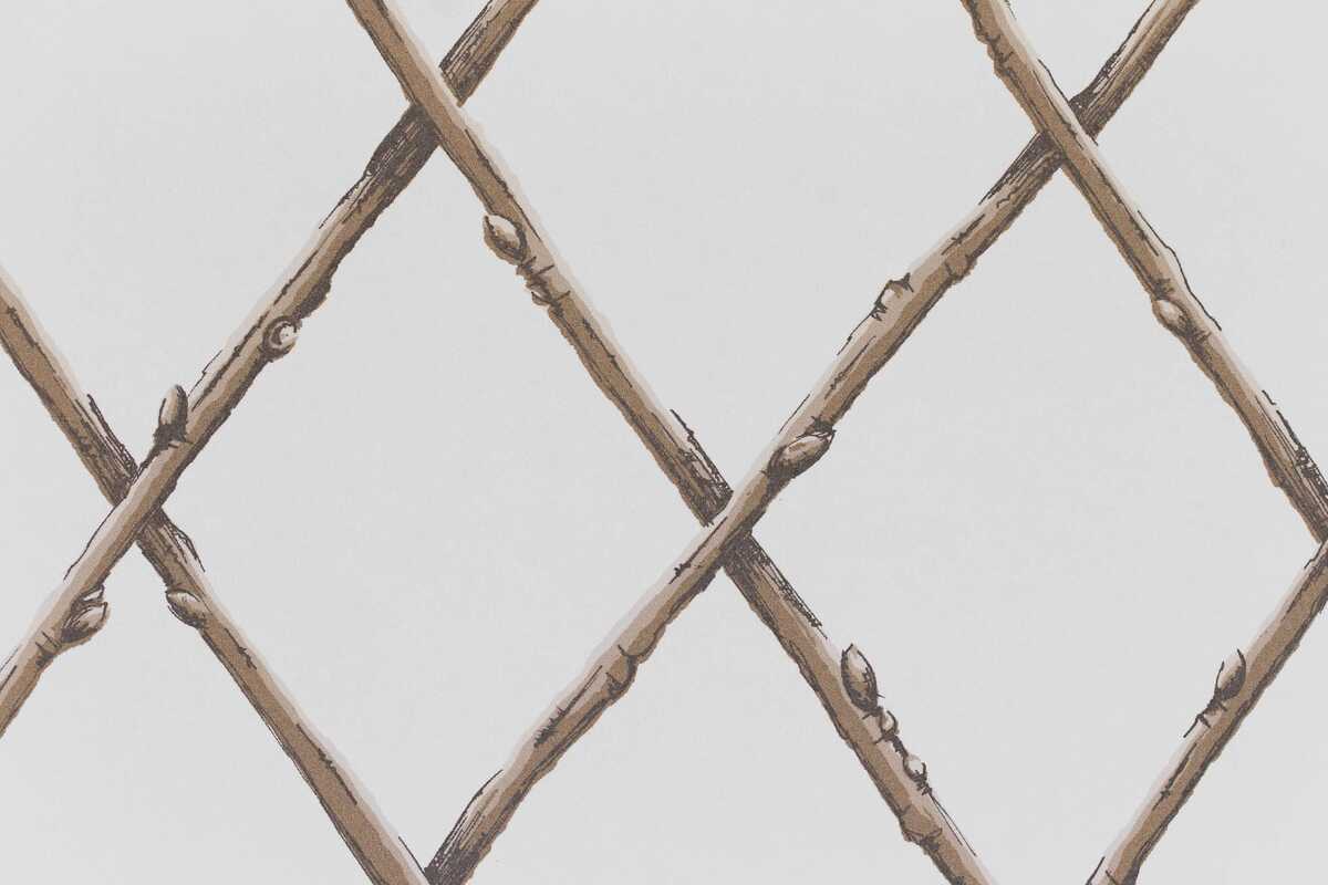 Bare Twig Trellis Wp - Brown - LEE JOFA Papel pintado