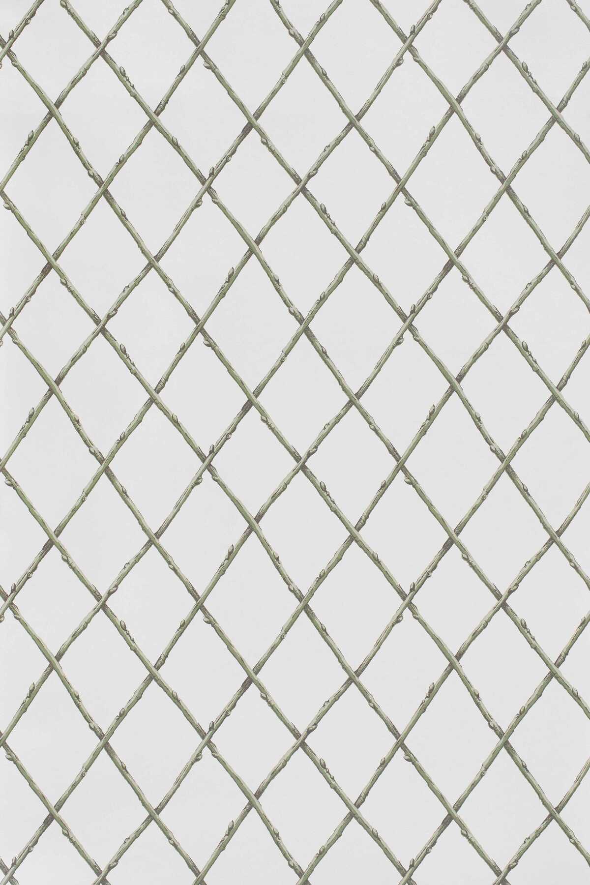 Bare Twig Trellis Wp - Green - LEE JOFA Papel pintado