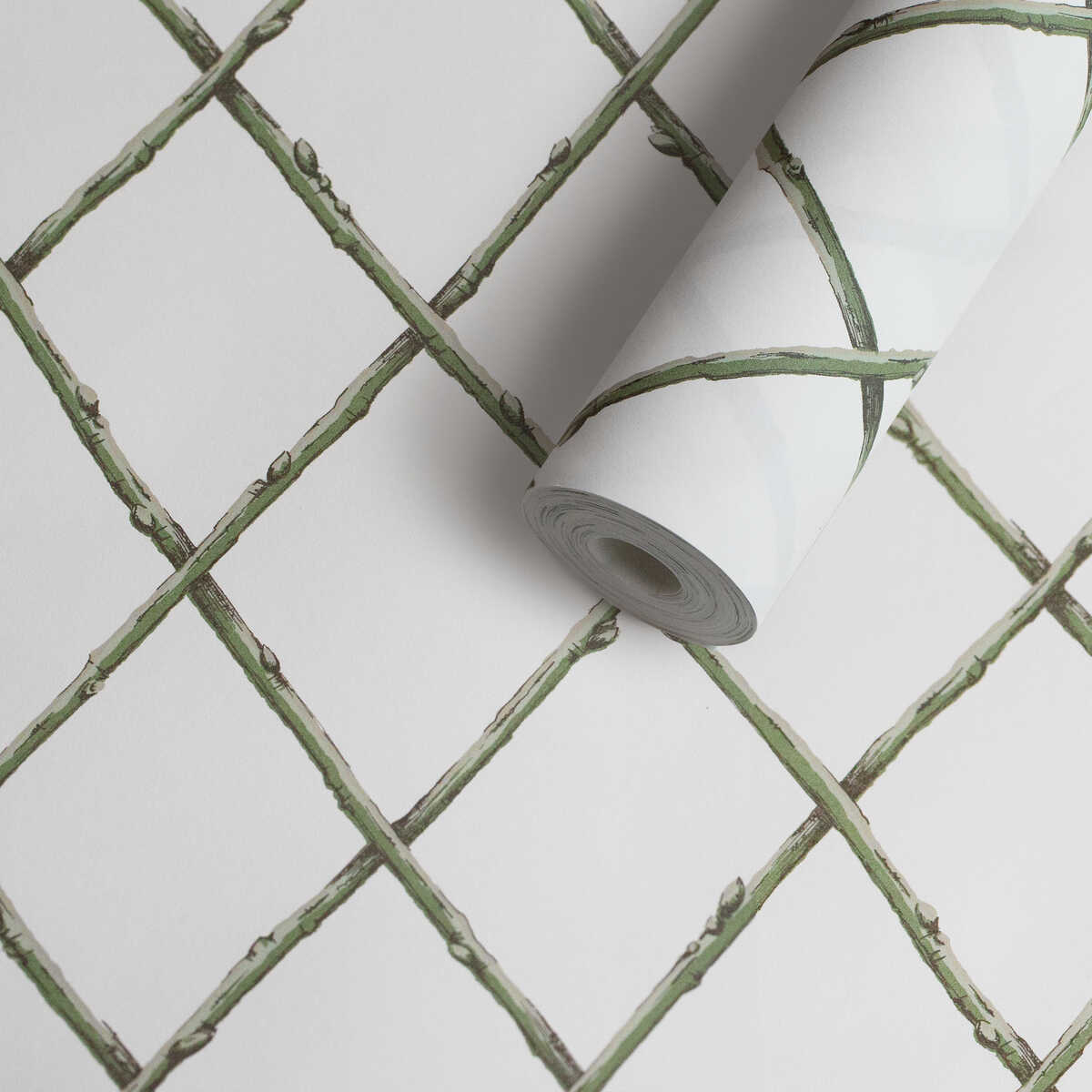 Bare Twig Trellis Wp - Green - LEE JOFA Papel pintado