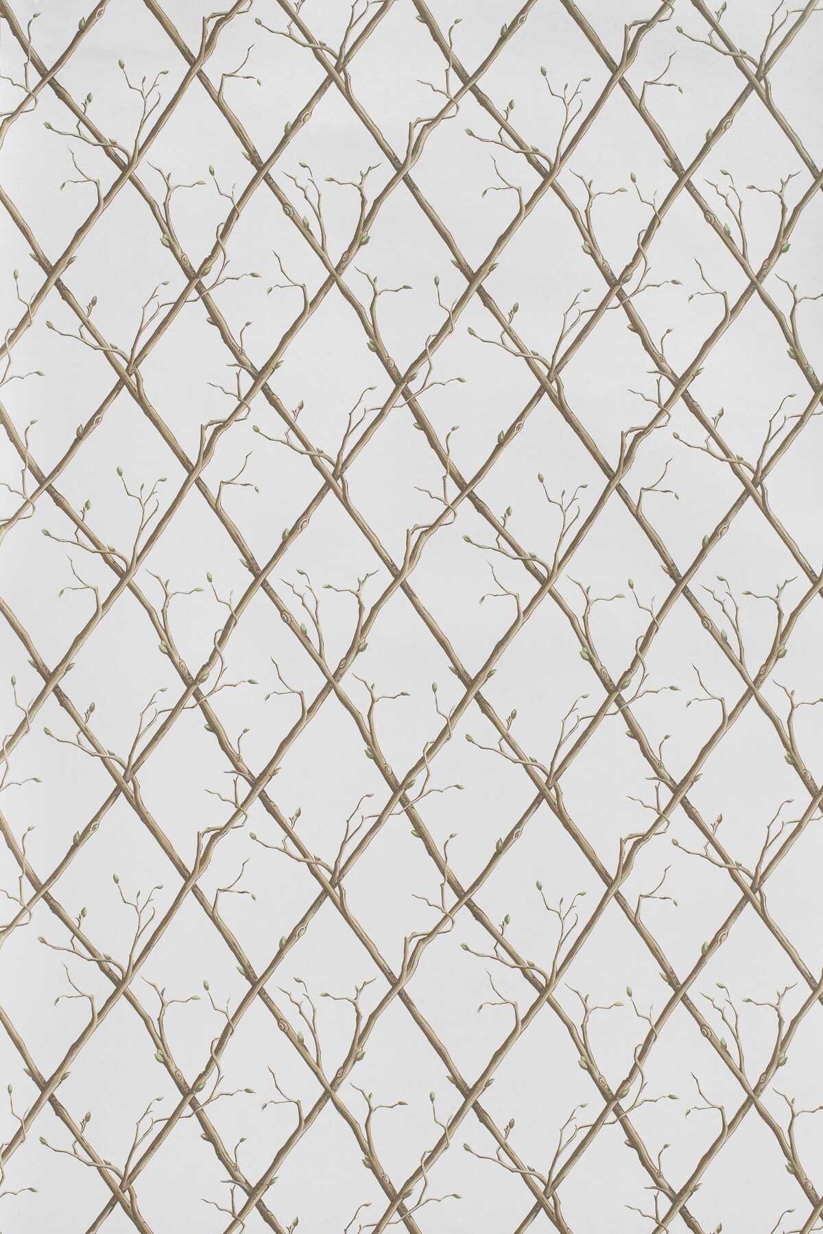 Twig Trellis Wp - Brown - LEE JOFA Papel pintado