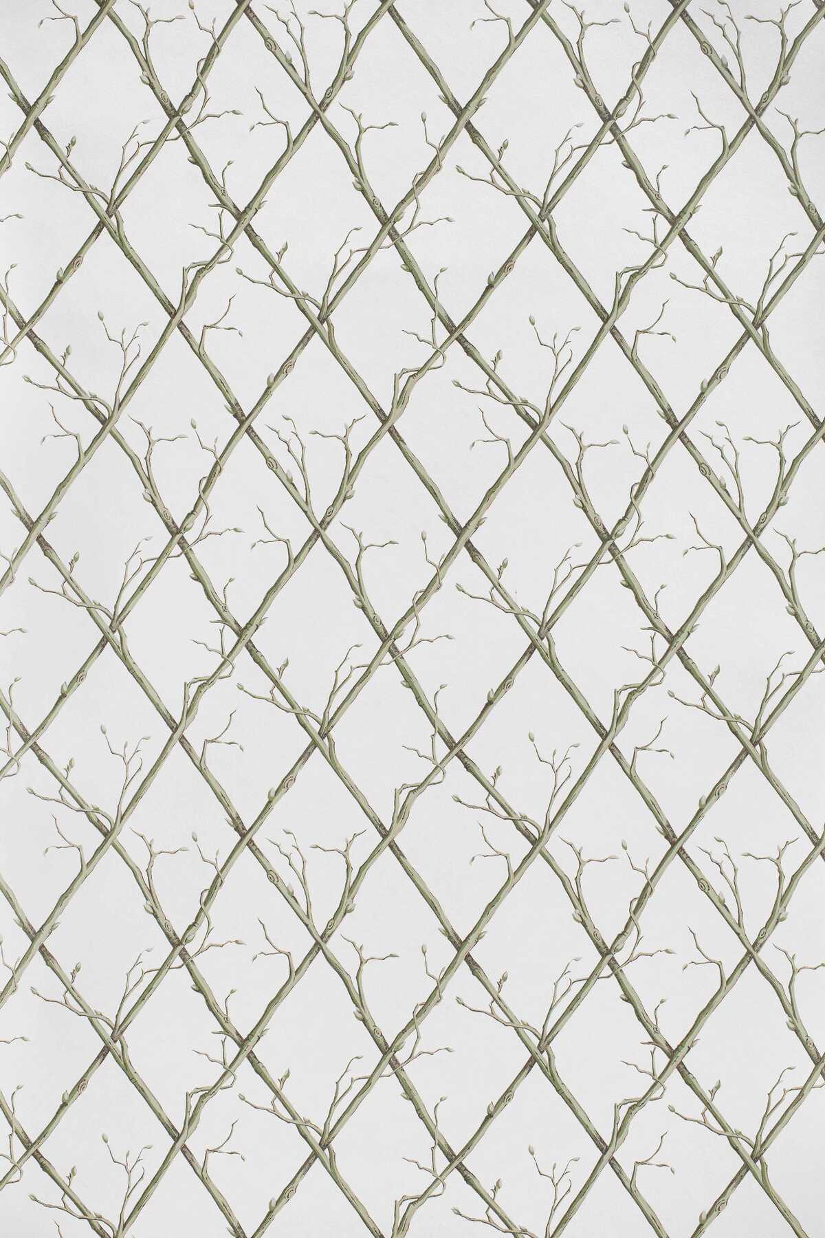 Twig Trellis Wp - Green