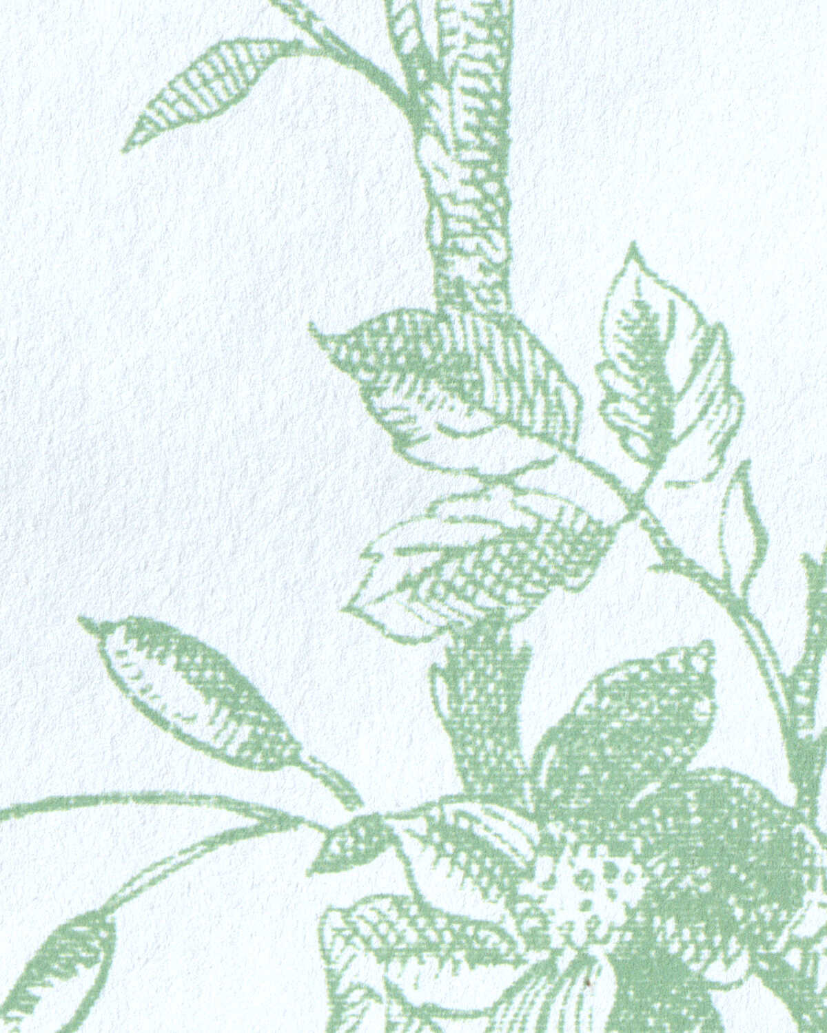 Tea Rose Toile Wp - Leaf - LEE JOFA Wallpaper