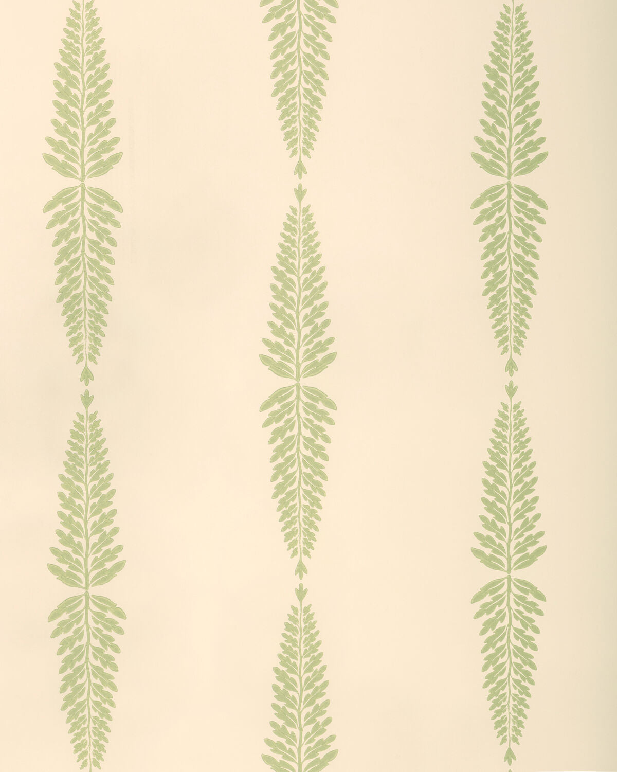 Glade Fern - Sage