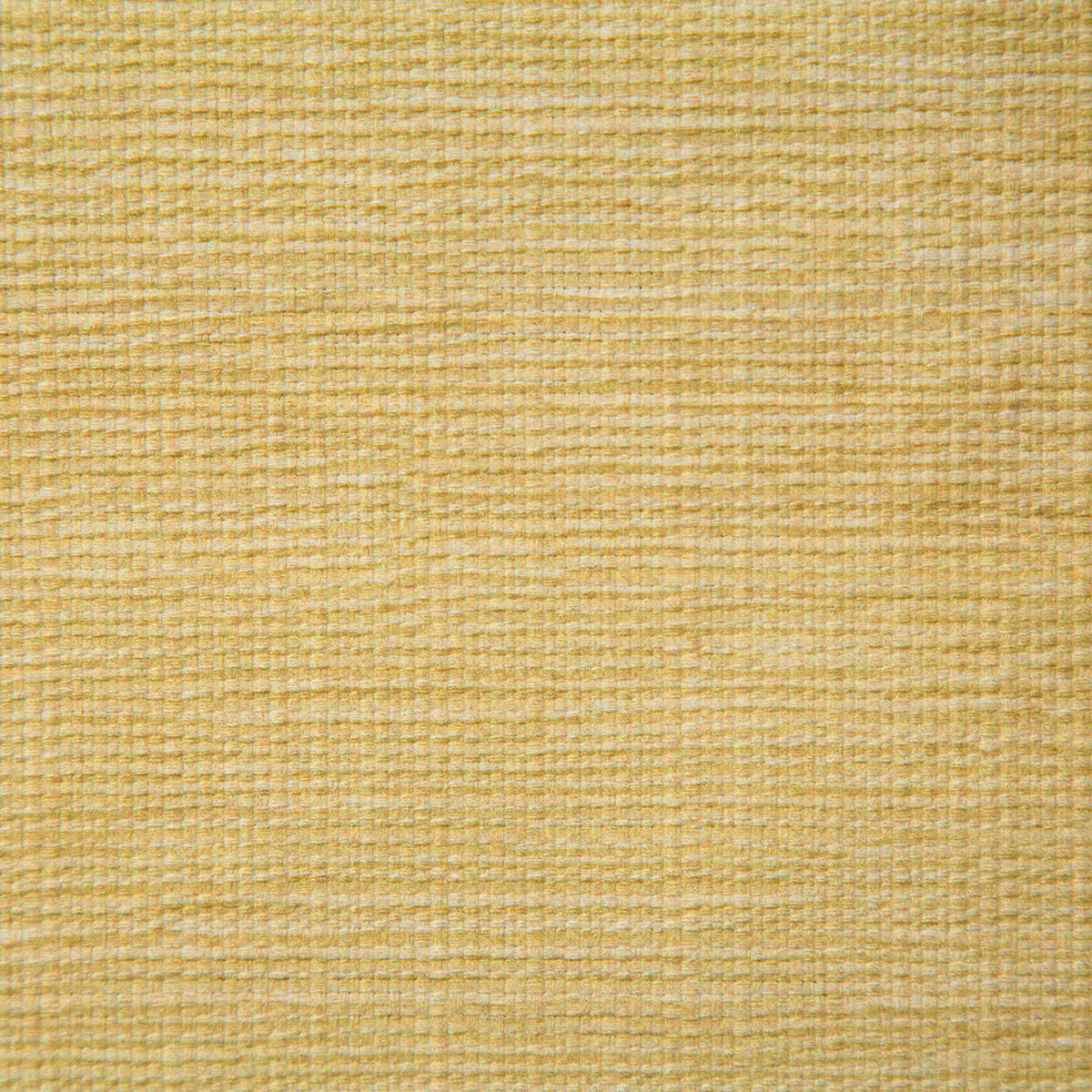 p6762-matthews-buttercup-pindler - Pindler Tela