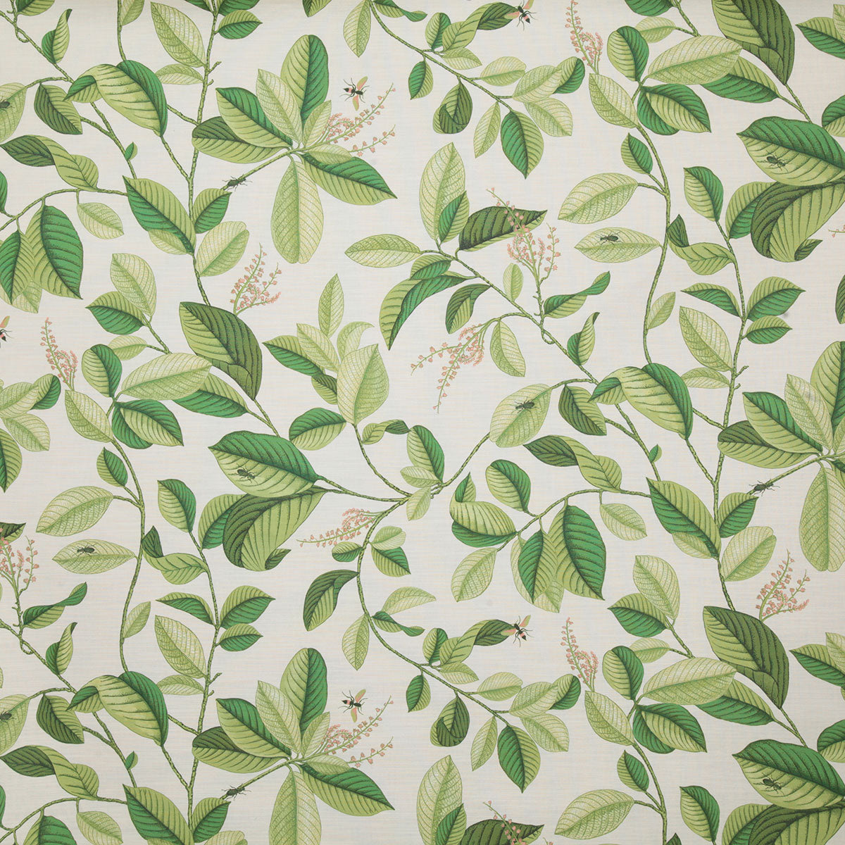 p6805-springdale-palm-pindler - Pindler print