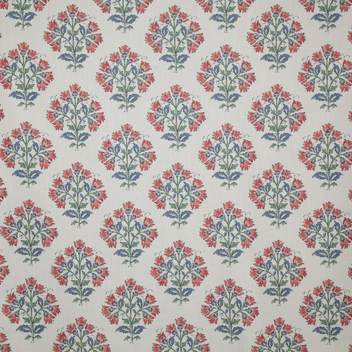 p6812-carissa-bloom-pindler