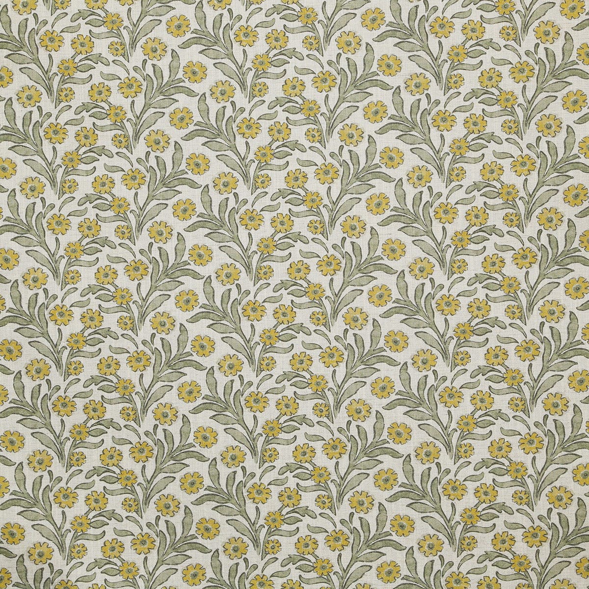 p6855-moira-sage-pindler