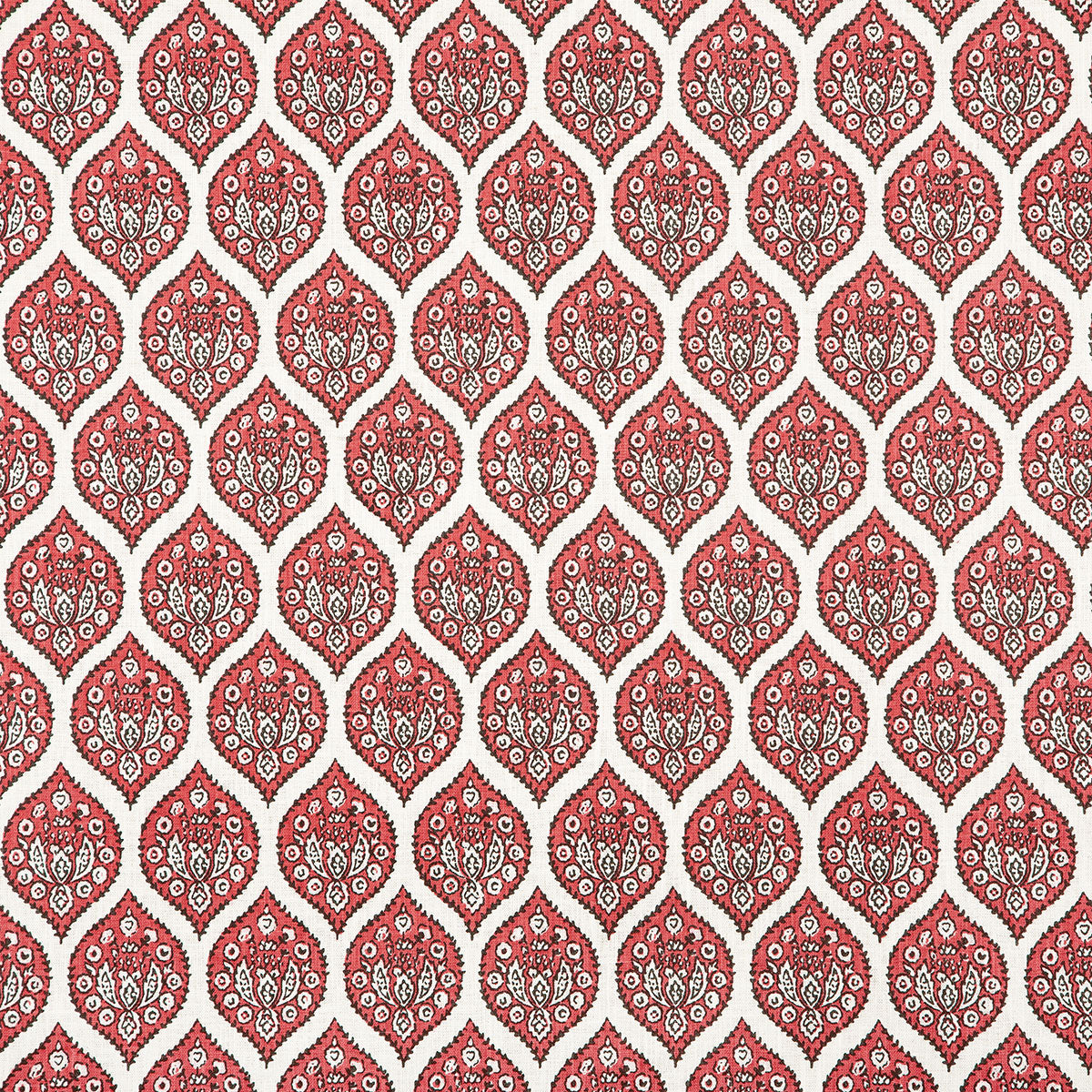 p6857-parvati-coral-pindler