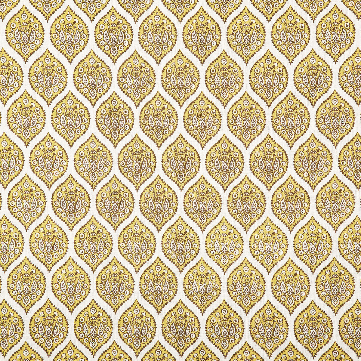p6857-parvati-lemon-pindler