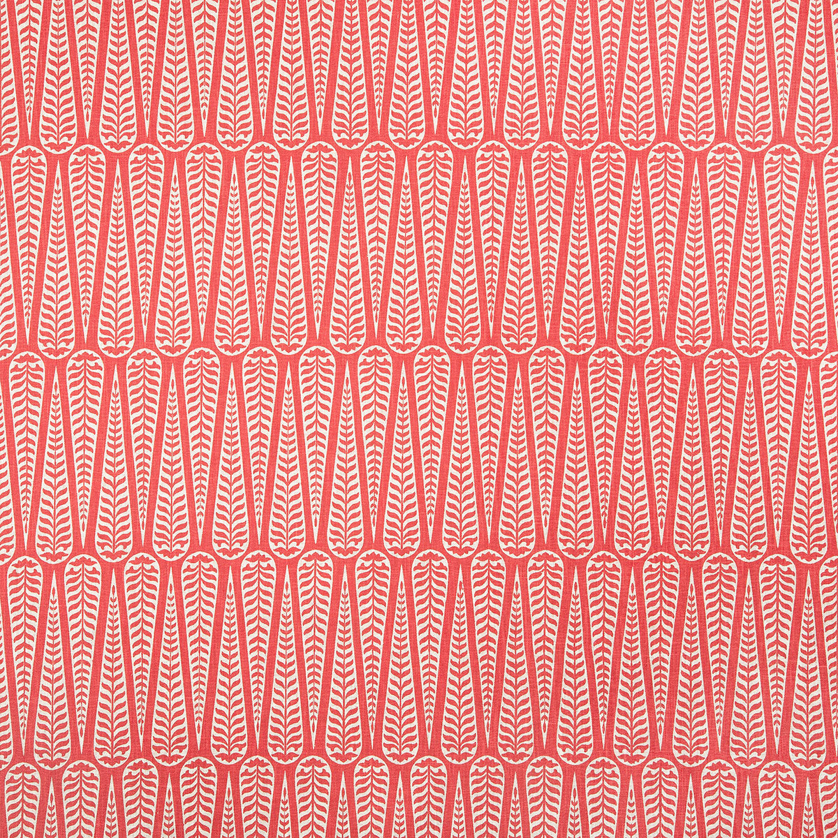 p6858-junie-coral-pindler