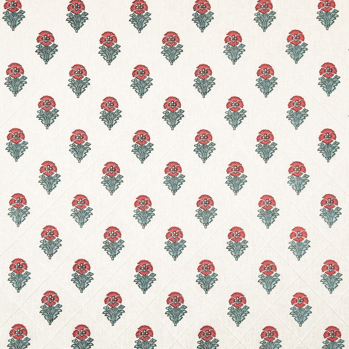 p6859-ciri-coral-pindler