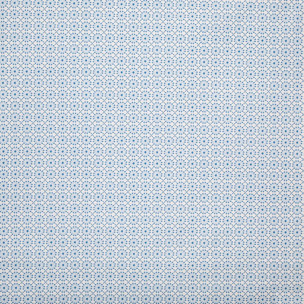 p6872-augustine-ocean-pindler